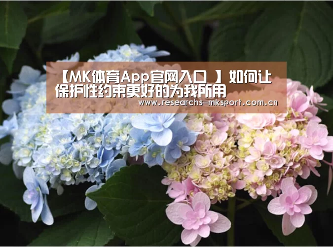 【MK体育App官网入口 】如何让保护性约束更好的为我所用(图4) MK体育
