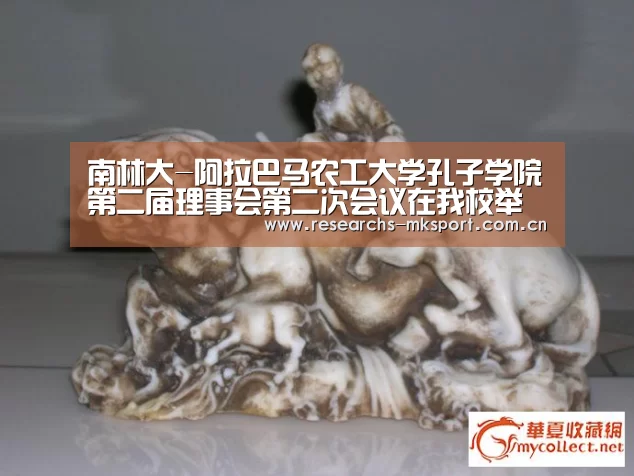 南林大-阿拉巴马农工大学孔子学院第二届理事会第二次会议在我校举行- MK体育(图2) MK体育