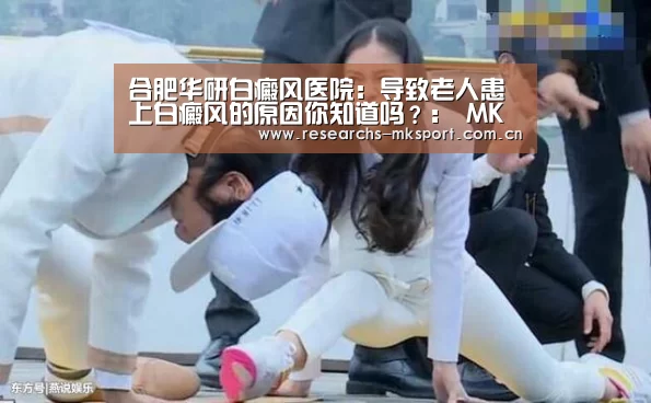 MK体育App官网入口 